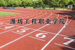 2024年潍坊工程职业学院在四川计划招生人数（附学费及专业录取分)