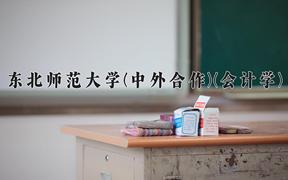 2024年东北师范大学(中外合作)(会计学)在四川计划招生人数（附学费及专业录取分)