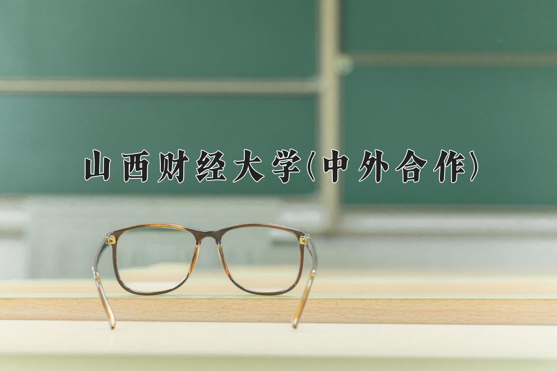 山西财经大学(中外合作)