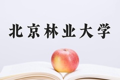 2024年北京林业大学在河南计划招生人数（附学费及专业录取分)