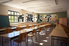 2024年西藏大学在河南计划招生人数（附学费及专业录取分)