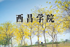 2024年西昌学院在河南计划招生人数（附学费及专业录取分)