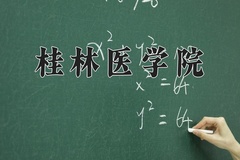 2024年桂林医学院在河南计划招生人数（附学费及专业录取分)