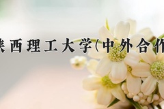 2024年陕西理工大学(中外合作)在四川计划招生人数（附学费及专业录取分)