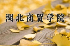 2024年湖北商贸学院在河南计划招生人数（附学费及专业录取分)