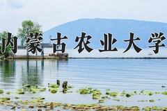 2024年内蒙古农业大学在河南计划招生人数（附学费及专业录取分)