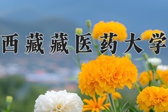 2024年西藏藏医药大学在四川计划招生人数（附学费及专业录取分)