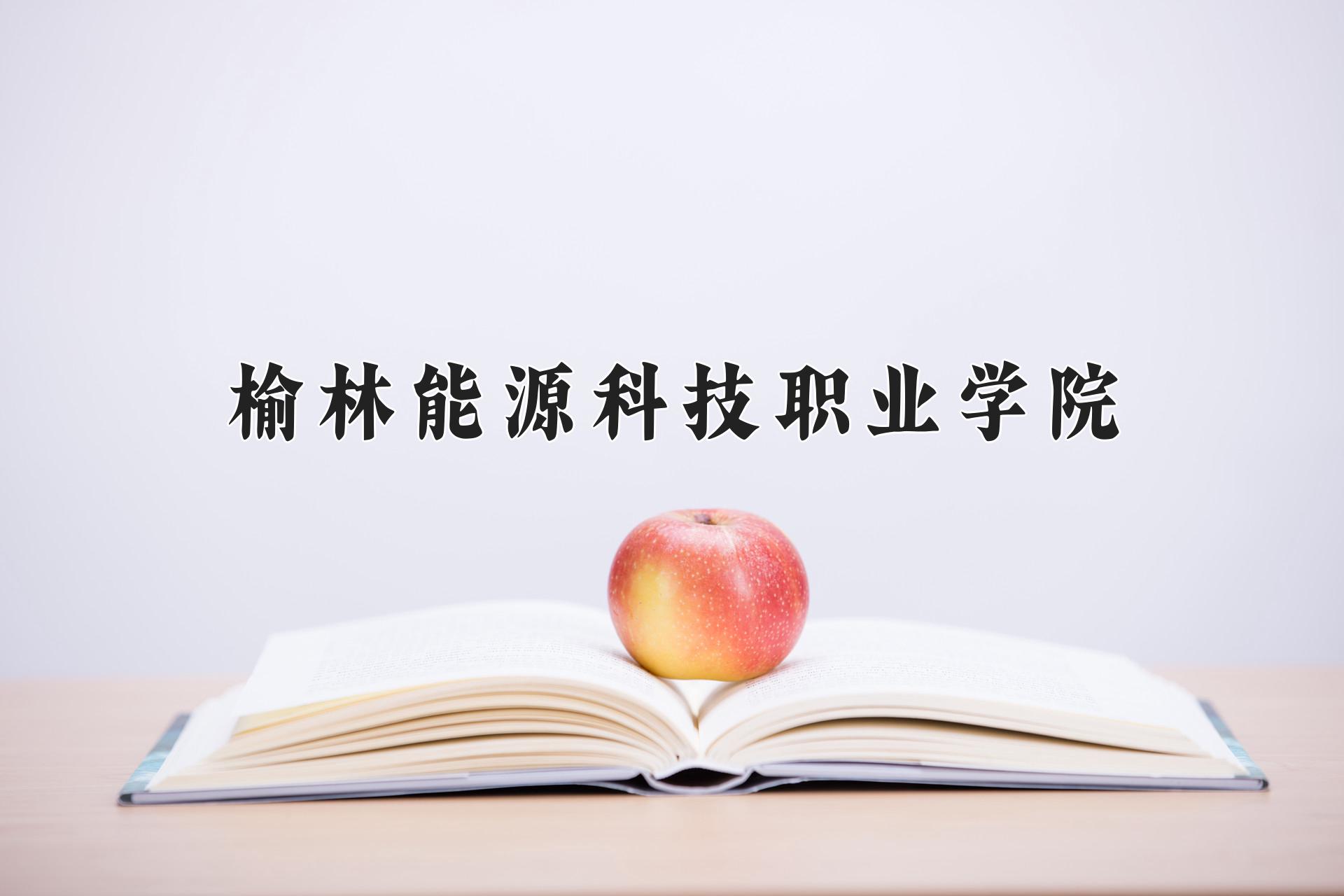 榆林能源科技职业学院