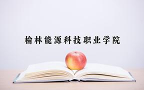 2024年榆林能源科技职业学院在四川计划招生人数（附学费及专业录取分)