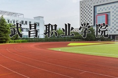 2024年武昌职业学院在河南计划招生人数（附学费及专业录取分)