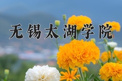 2024年无锡太湖学院在四川计划招生人数（附学费及专业录取分)