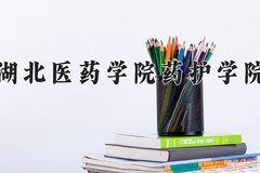 2024年湖北医药学院药护学院在河南计划招生人数（附学费及专业录取分)