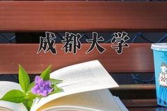 2024年成都大学在河南计划招生人数（附学费及专业录取分)