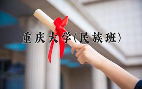 2024年重庆大学(民族班)在四川计划招生人数（附学费及专业录取分)