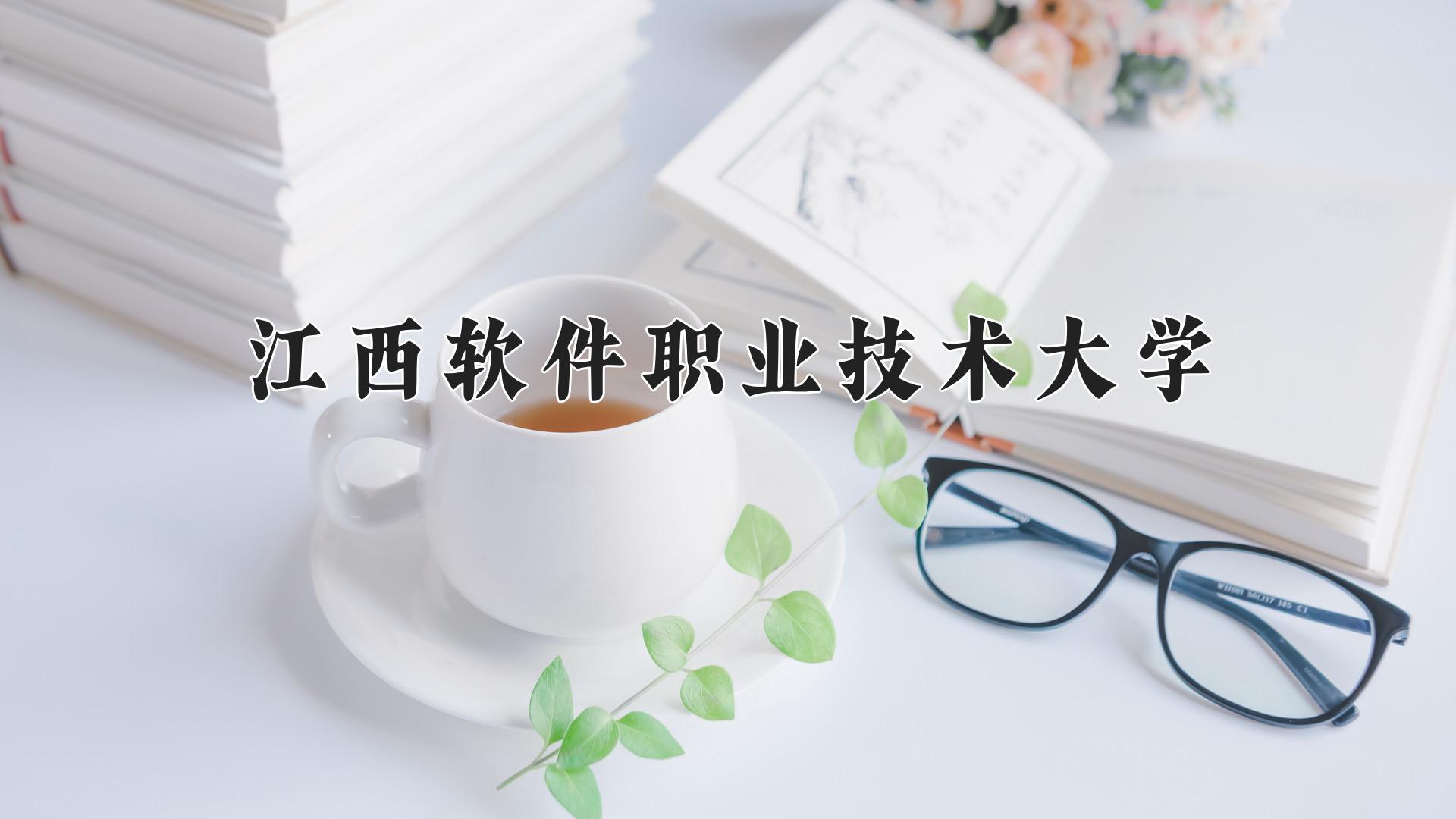 江西软件职业技术大学