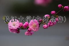 2024年长江大学(中外合作)在四川计划招生人数（附学费及专业录取分)