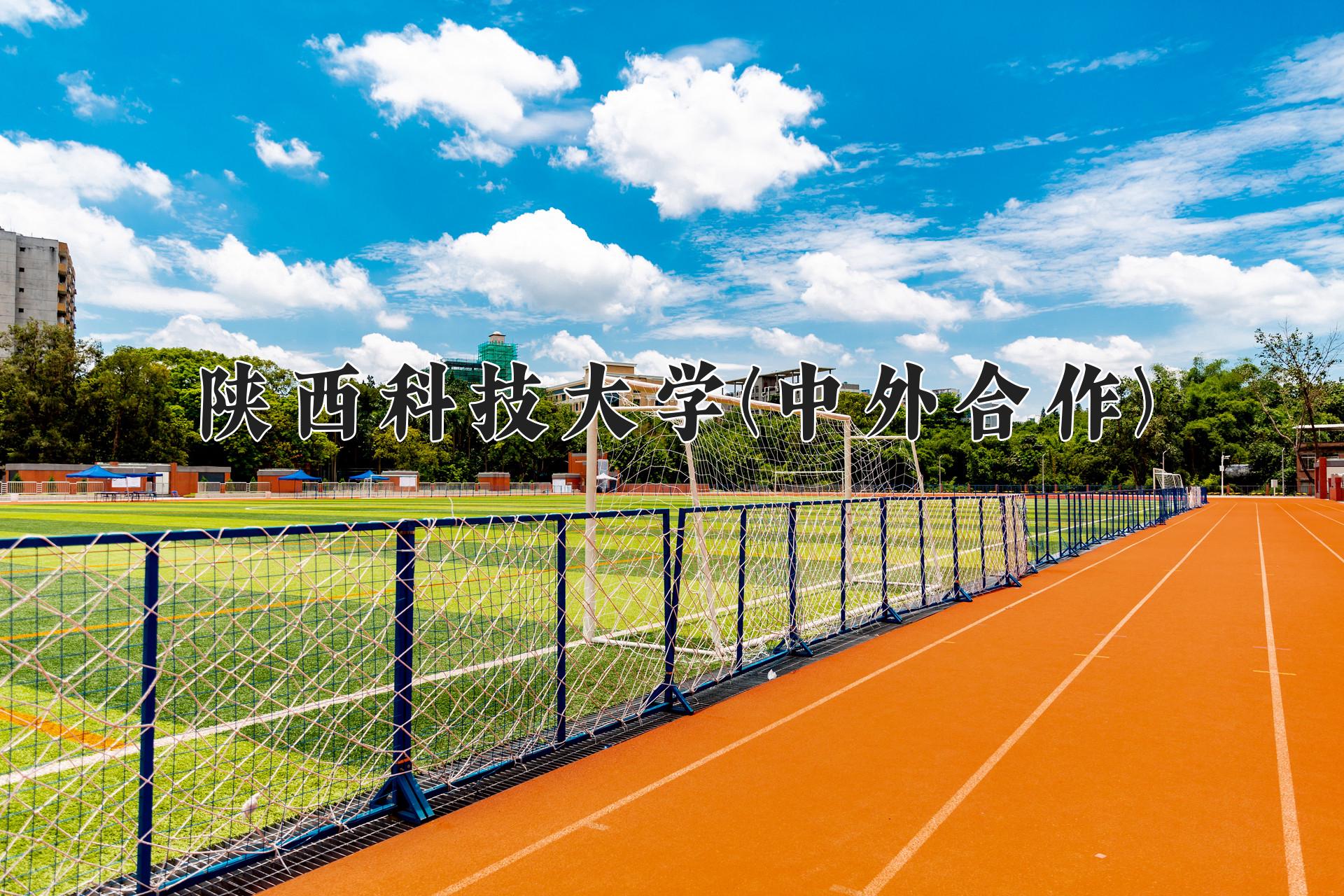 陕西科技大学(中外合作)