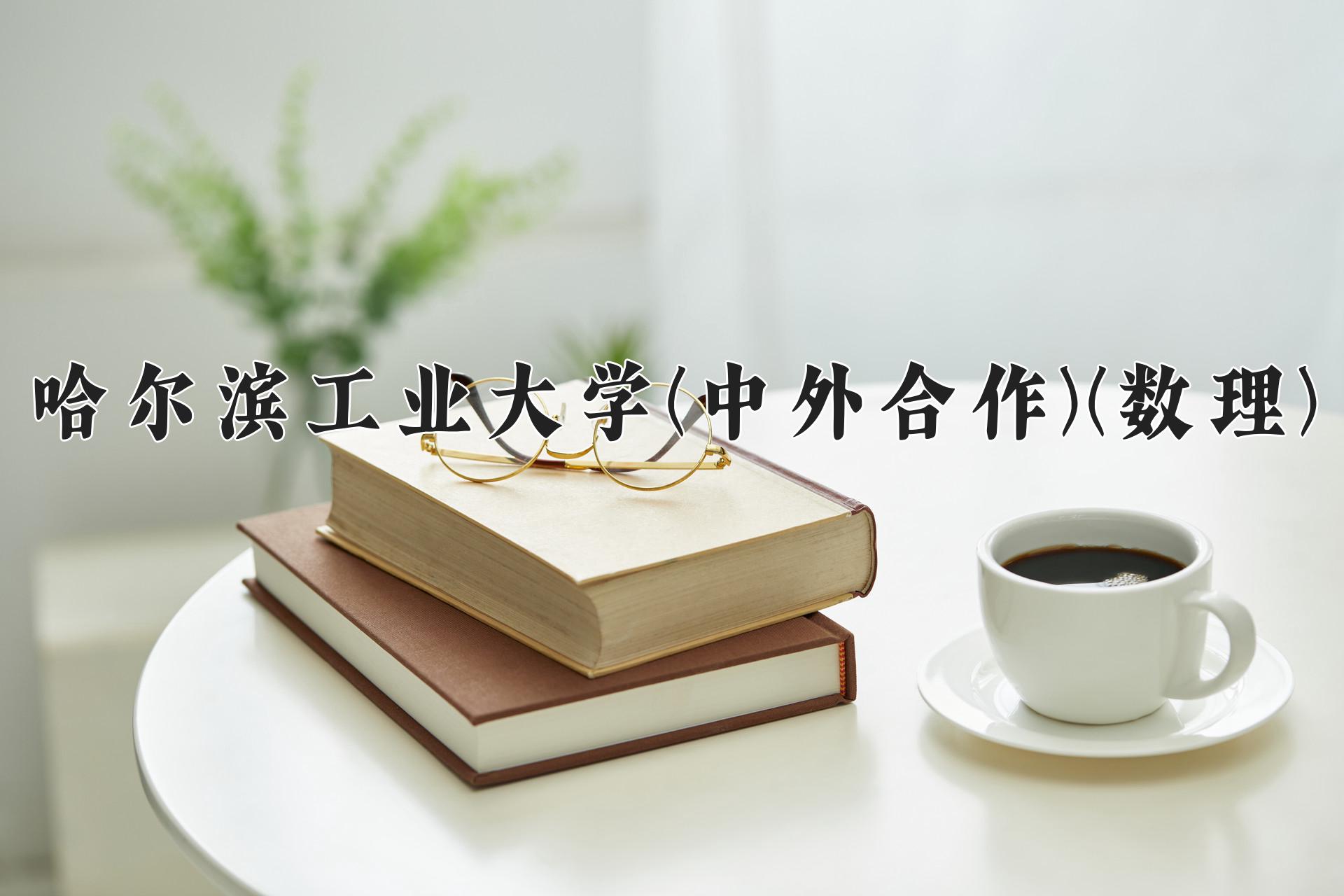 哈尔滨工业大学(中外合作)(数理)