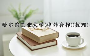 2024年哈尔滨工业大学(中外合作)(数理)在四川计划招生人数（附学费及专业录取分)