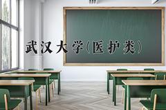 2024年武汉大学(医护类)在四川计划招生人数（附学费及专业录取分)