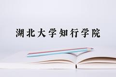 2024年湖北大学知行学院在四川计划招生人数（附学费及专业录取分)