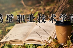 2024年鹤壁职业技术学院在河南计划招生人数（附学费及专业录取分)