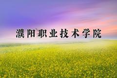 2024年濮阳职业技术学院在四川计划招生人数（附学费及专业录取分)