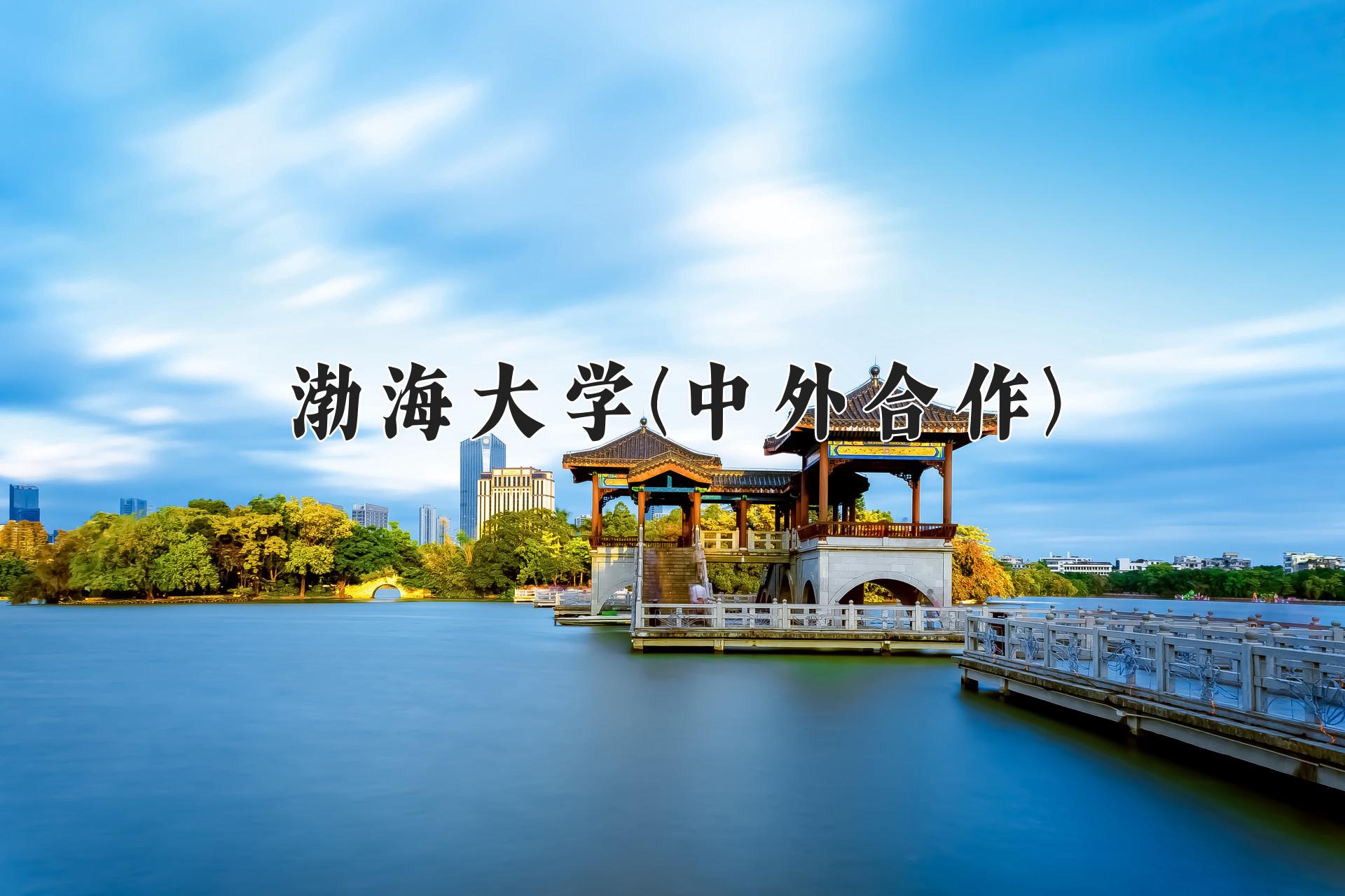 渤海大学(中外合作)