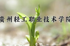 2024年贵州轻工职业技术学院在四川计划招生人数（附学费及专业录取分)