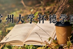 2024年常州大学怀德学院在河南计划招生人数（附学费及专业录取分)