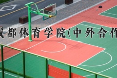 2024年成都体育学院(中外合作)在四川计划招生人数（附学费及专业录取分)