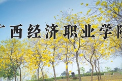 2024年广西经济职业学院在四川计划招生人数（附学费及专业录取分)