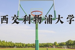2024年西交利物浦大学在河南计划招生人数（附学费及专业录取分)