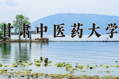2024年甘肃中医药大学在四川计划招生人数（附学费及专业录取分)