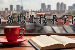 2024年青岛职业技术学院在四川计划招生人数（附学费及专业录取分)