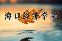2024年海口经济学院在四川计划招生人数（附学费及专业录取分)