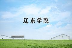 2024年辽东学院在四川计划招生人数（附学费及专业录取分)