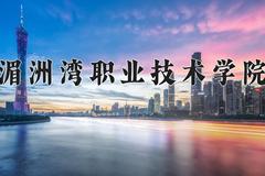 2024年湄洲湾职业技术学院在四川计划招生人数（附学费及专业录取分)