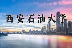 2024年西安石油大学在河南计划招生人数（附学费及专业录取分)