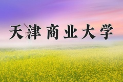 2024年天津商业大学在河南计划招生人数（附学费及专业录取分)