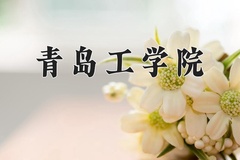 2024年青岛工学院在四川计划招生人数（附学费及专业录取分)