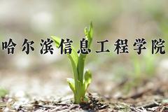 2024年哈尔滨信息工程学院在四川计划招生人数（附学费及专业录取分)