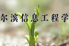 2024年哈尔滨信息工程学院在四川计划招生人数（附学费及专业录取分)