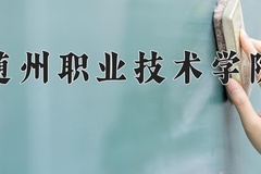 2024年随州职业技术学院在四川计划招生人数（附学费及专业录取分)