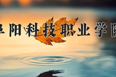2024年阜阳科技职业学院在四川计划招生人数（附学费及专业录取分)