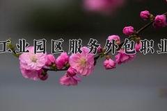 2024年苏州工业园区服务外包职业学院在河南计划招生人数（附学费及专业录取分)