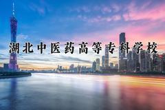 2024年湖北中医药高等专科学校在四川计划招生人数（附学费及专业录取分)