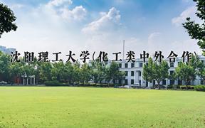 2024年沈阳理工大学(化工类中外合作)在四川计划招生人数（附学费及专业录取分)