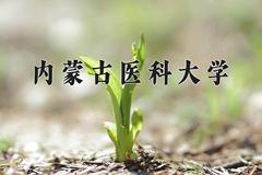 2024年内蒙古医科大学在四川计划招生人数（附学费及专业录取分)