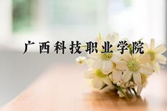 2024年广西科技职业学院在四川计划招生人数（附学费及专业录取分)